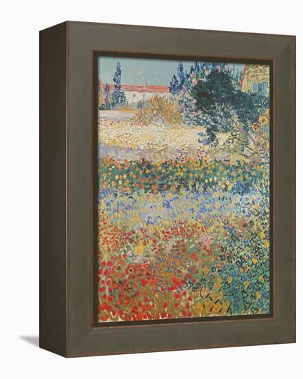 Garden in Bloom Arles, c.1888-Vincent van Gogh-Framed Premier Image Canvas