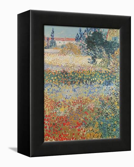 Garden in Bloom Arles, c.1888-Vincent van Gogh-Framed Premier Image Canvas