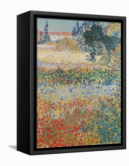 Garden in Bloom Arles, c.1888-Vincent van Gogh-Framed Premier Image Canvas