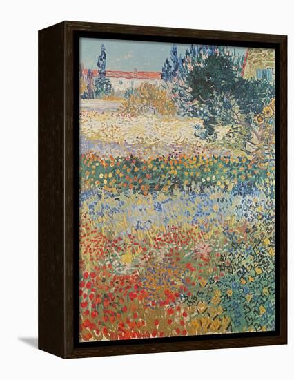 Garden in Bloom Arles, c.1888-Vincent van Gogh-Framed Premier Image Canvas