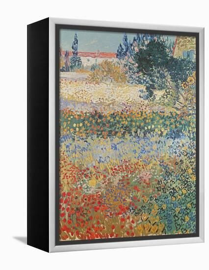 Garden in Bloom Arles, c.1888-Vincent van Gogh-Framed Premier Image Canvas