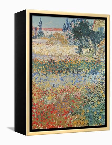 Garden in Bloom Arles, c.1888-Vincent van Gogh-Framed Premier Image Canvas