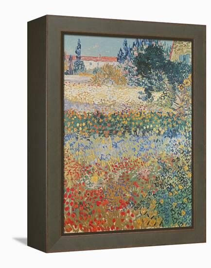 Garden in Bloom Arles, c.1888-Vincent van Gogh-Framed Premier Image Canvas