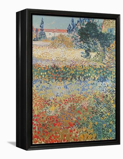 Garden in Bloom Arles, c.1888-Vincent van Gogh-Framed Premier Image Canvas