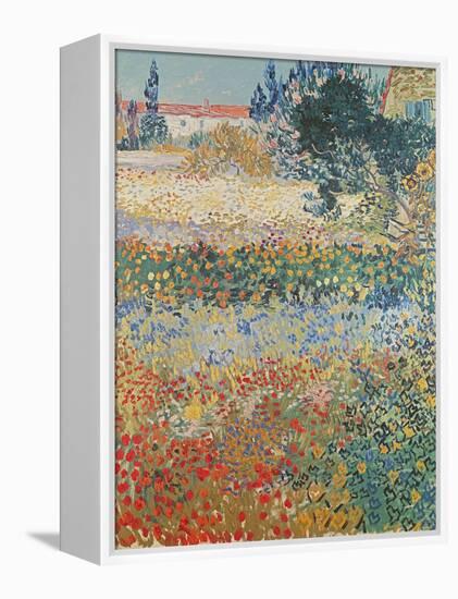 Garden in Bloom Arles, c.1888-Vincent van Gogh-Framed Premier Image Canvas