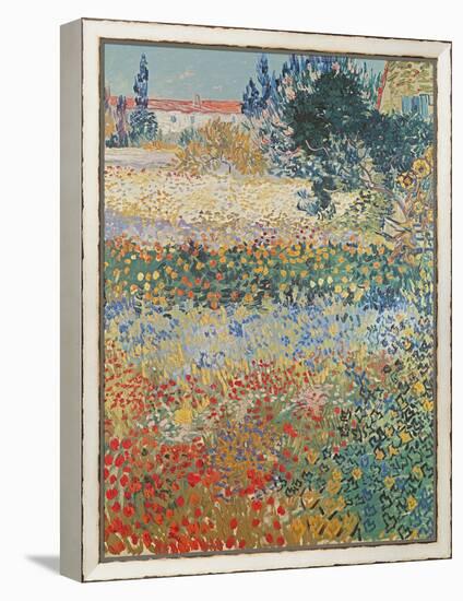 Garden in Bloom Arles, c.1888-Vincent van Gogh-Framed Premier Image Canvas