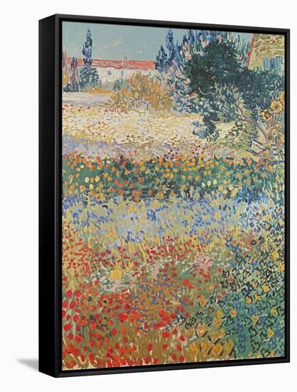 Garden in Bloom Arles, c.1888-Vincent van Gogh-Framed Premier Image Canvas
