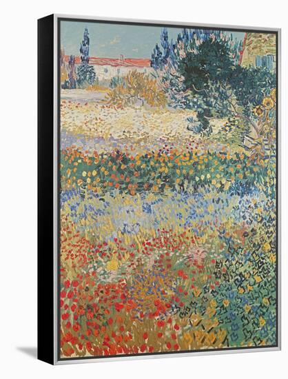 Garden in Bloom Arles, c.1888-Vincent van Gogh-Framed Premier Image Canvas