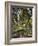 Garden in Godrammstein with a Twisted Tree and Pond-Max Slevogt-Framed Giclee Print