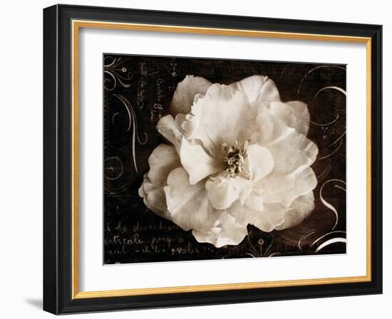 Garden Journal II-Amy Melious-Framed Art Print