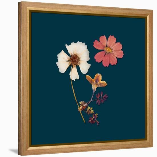 Garden Keepsake 1-Devon Ross-Framed Stretched Canvas