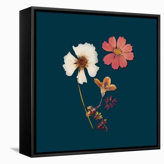 Garden Keepsake 1-Devon Ross-Framed Stretched Canvas
