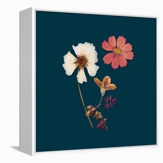 Garden Keepsake 1-Devon Ross-Framed Stretched Canvas