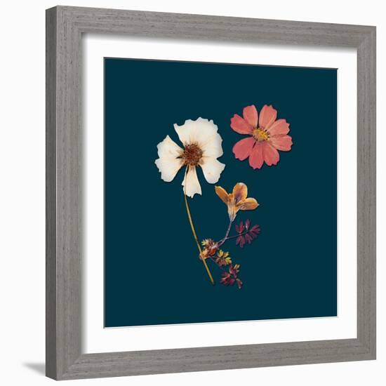 Garden Keepsake 1-Devon Ross-Framed Art Print