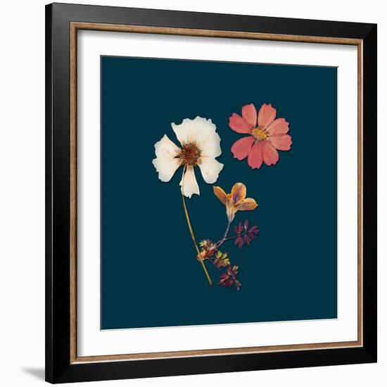 Garden Keepsake 1-Devon Ross-Framed Art Print