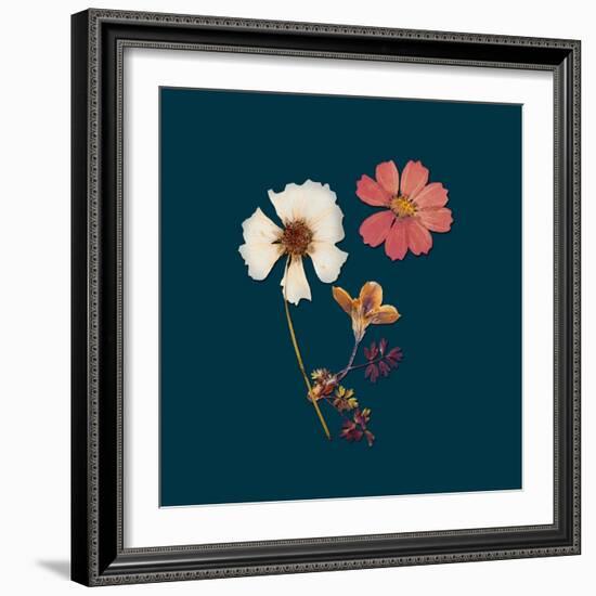 Garden Keepsake 1-Devon Ross-Framed Art Print