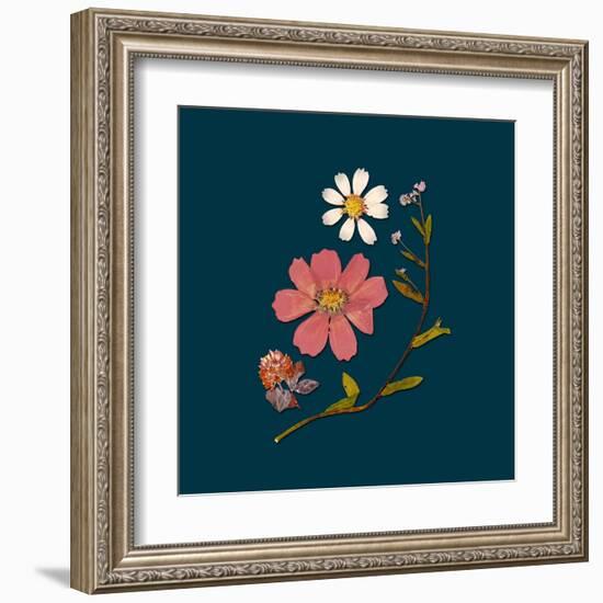 Garden Keepsake 2-Devon Ross-Framed Art Print