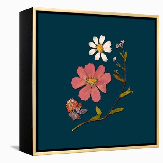 Garden Keepsake 2-Devon Ross-Framed Stretched Canvas