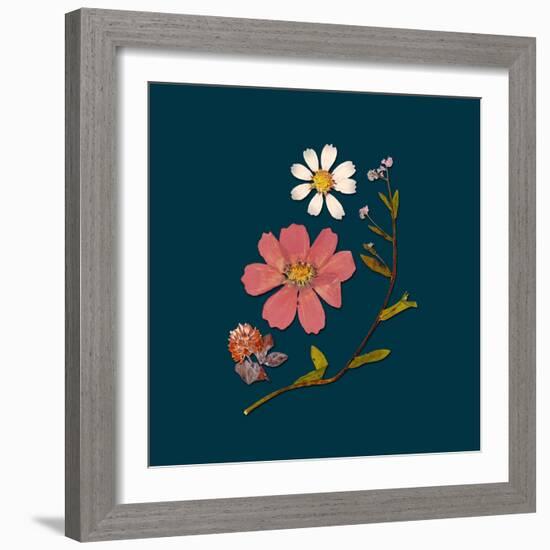 Garden Keepsake 2-Devon Ross-Framed Art Print