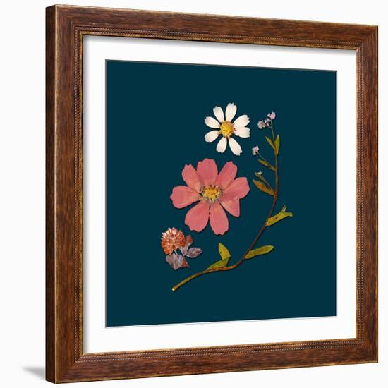 Garden Keepsake 2-Devon Ross-Framed Art Print