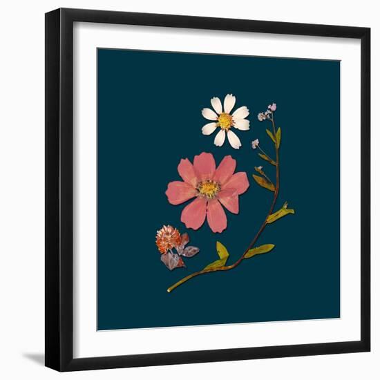 Garden Keepsake 2-Devon Ross-Framed Art Print