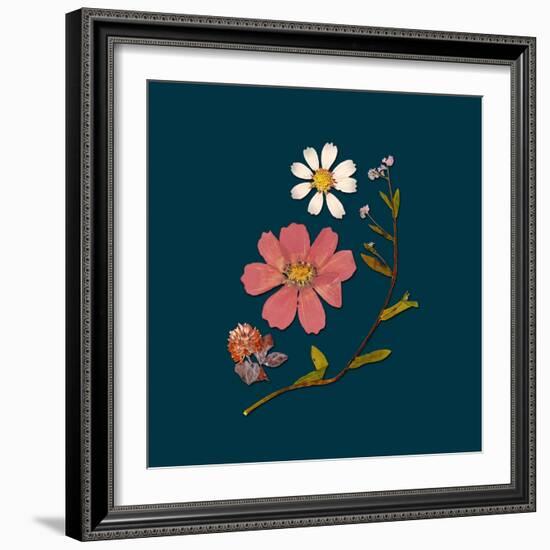 Garden Keepsake 2-Devon Ross-Framed Art Print