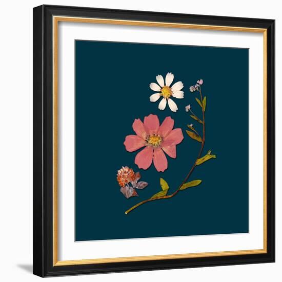 Garden Keepsake 2-Devon Ross-Framed Art Print