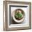 Garden Leaf-Glen and Gayle Wans-Framed Giclee Print