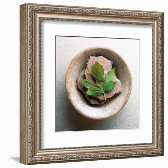 Garden Leaf-Glen and Gayle Wans-Framed Giclee Print