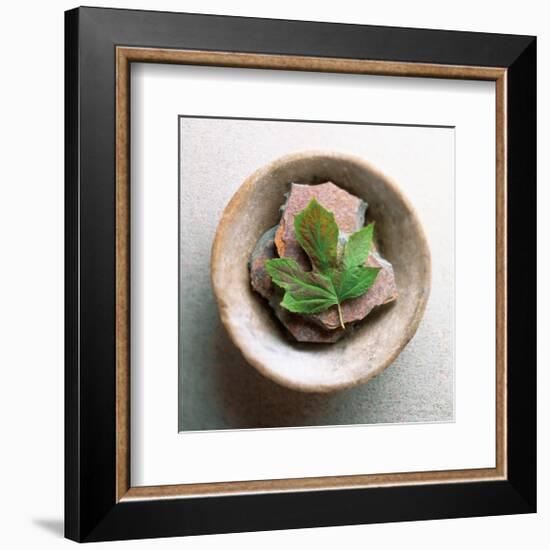 Garden Leaf-Glen and Gayle Wans-Framed Giclee Print