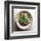 Garden Leaf-Glen and Gayle Wans-Framed Giclee Print