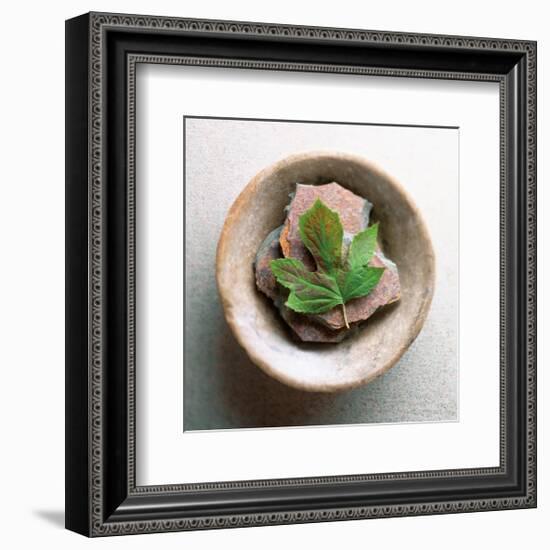 Garden Leaf-Glen and Gayle Wans-Framed Giclee Print