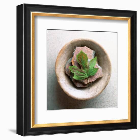 Garden Leaf-Glen and Gayle Wans-Framed Giclee Print