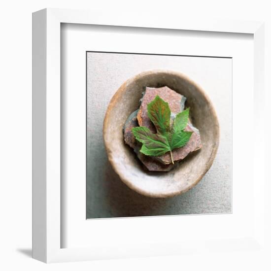 Garden Leaf-Glen and Gayle Wans-Framed Giclee Print