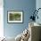 Garden Light-Stacy Bass-Framed Giclee Print displayed on a wall
