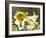 Garden Lilies-George Johnson-Framed Photographic Print