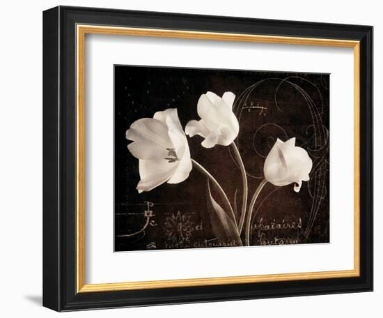 Garden Love Letter II-Amy Melious-Framed Art Print