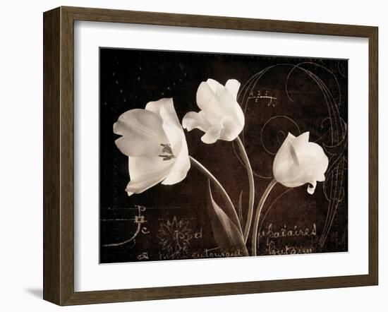 Garden Love Letter II-Amy Melious-Framed Art Print