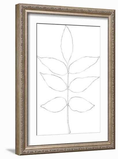 Garden Medley - Ash-Lucy Francis-Framed Giclee Print