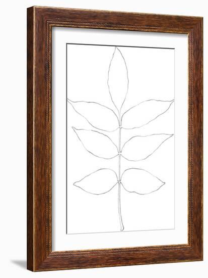 Garden Medley - Ash-Lucy Francis-Framed Giclee Print