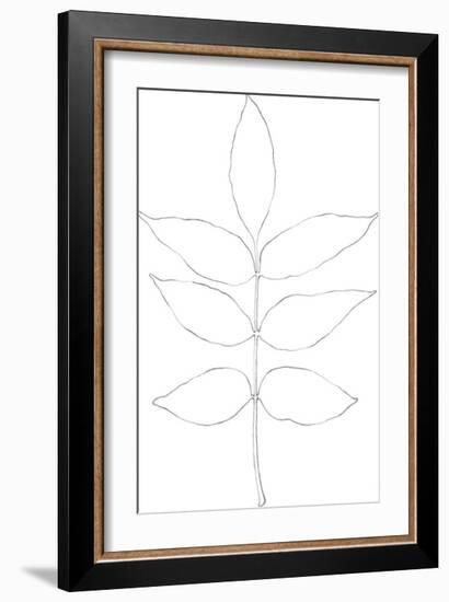 Garden Medley - Ash-Lucy Francis-Framed Giclee Print