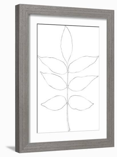 Garden Medley - Ash-Lucy Francis-Framed Giclee Print