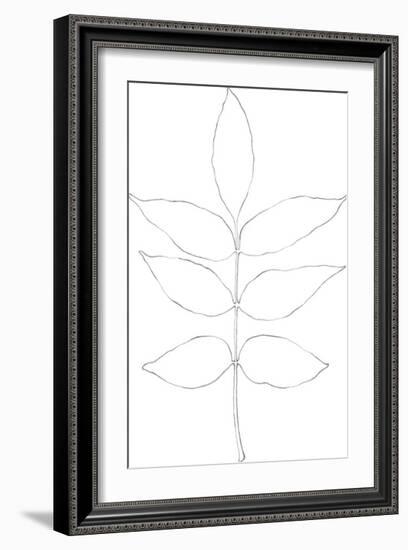 Garden Medley - Ash-Lucy Francis-Framed Giclee Print