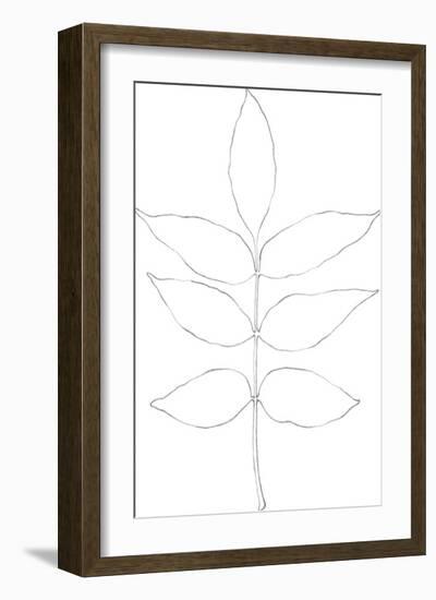 Garden Medley - Ash-Lucy Francis-Framed Giclee Print