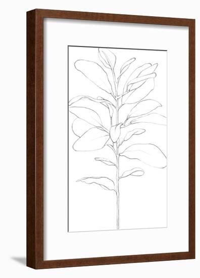 Garden Medley - Lamb's Ear-Lucy Francis-Framed Giclee Print