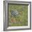 Garden Menagerie III-Kate McRostie-Framed Art Print