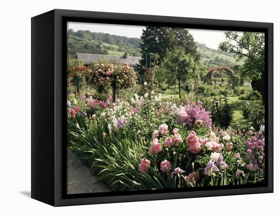 Garden, Monet's House, Giverny, Haute Normandie (Normandy), France-Ken Gillham-Framed Premier Image Canvas