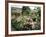 Garden, Monet's House, Giverny, Haute Normandie (Normandy), France-Ken Gillham-Framed Photographic Print