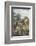 Garden, Newtown House-Beatrice Parsons-Framed Photographic Print