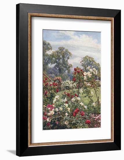 Garden, Newtown House-Beatrice Parsons-Framed Photographic Print